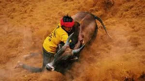 Jallikattu Bull Festival