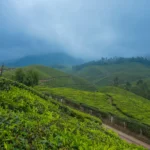Munnar
