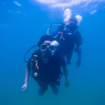 Scuba Diving