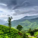 Wayanad