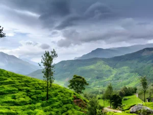 Wayanad